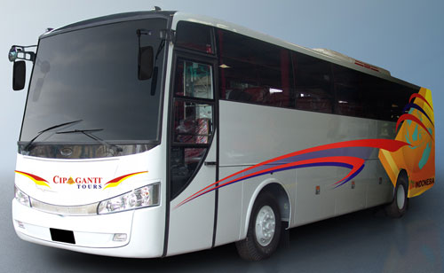 Cắt decal dán xe khách