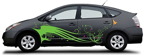 cat-decal-dan-xe-hoi